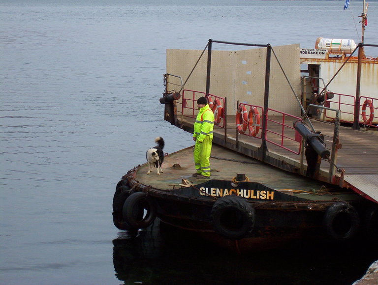 A border collie dog belonging to one of the ferryman
