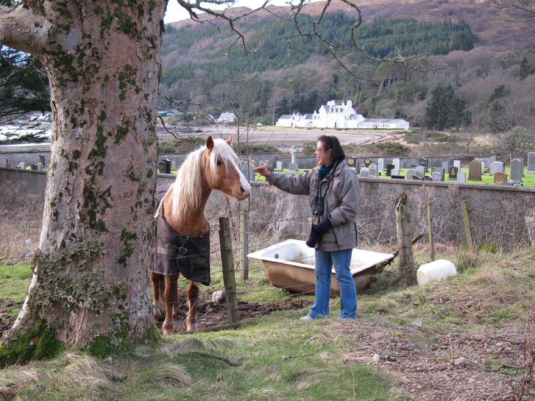 We went on a walk to a nearby viewpoint from the cottage and passed a couple of ponies
