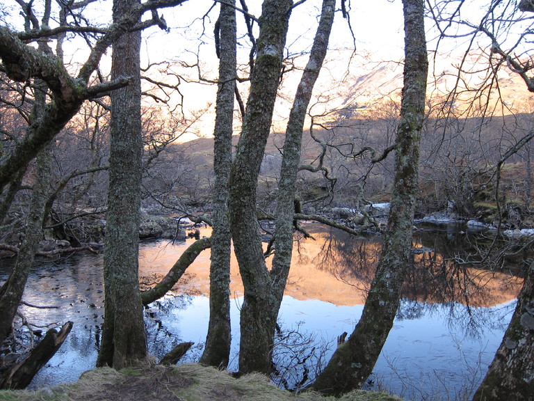 Morning sunshine brings a glow to the reflected mountains in the stream at Glen Elchaig
