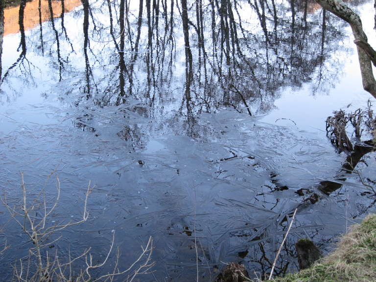 Reflections of silver birch trees on the partially frozen river at Glen Elchaig
