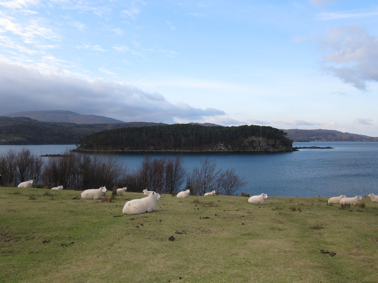 A view of Shieldaig Island on Loch Shieldaig
