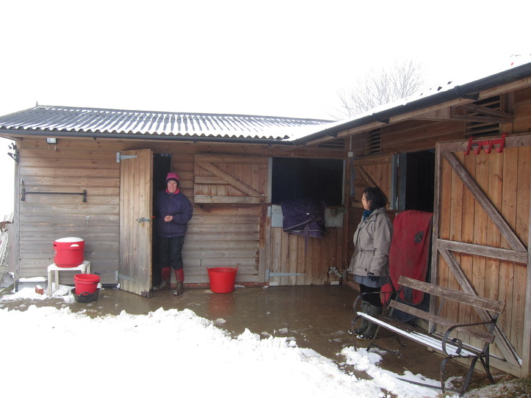 Jacqui showed us round the stables and garden on a cold, frosty winter's day 
