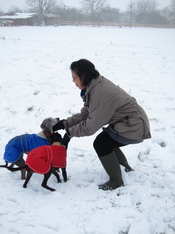 Rob and Jacqui have two whippets
